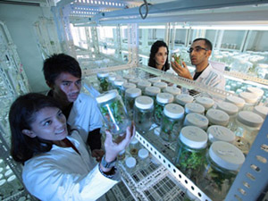 快速启动程序的轰炸软件